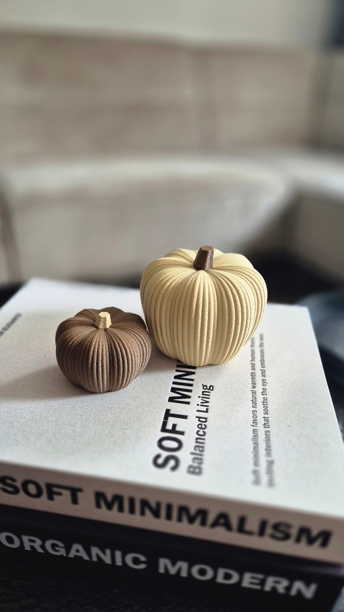 Pompoen decoratie 3d geprint beige bruin 