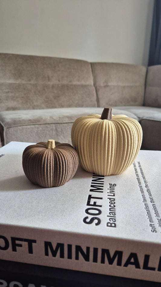 Pompoen decoratie set in natuurlijke tinten. beige bruin 