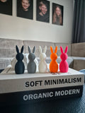 Verschillende kleuren paashaasjes 3D geprint
