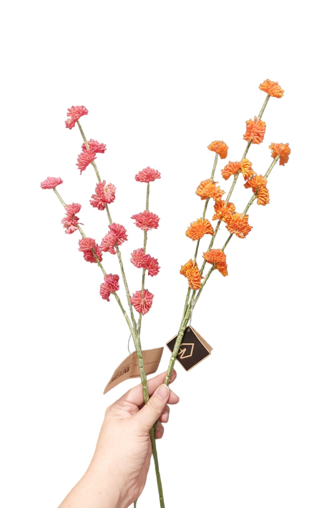 Bloemen takje Oranje | HV
