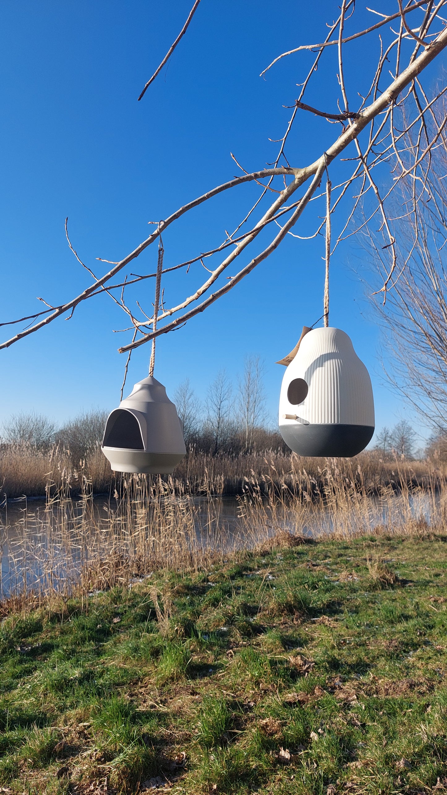 Sfeerbeeld van het GUSTA vogelvoederhuisje opgehangen in de tuin, met vogels die genieten van hun maaltijd.