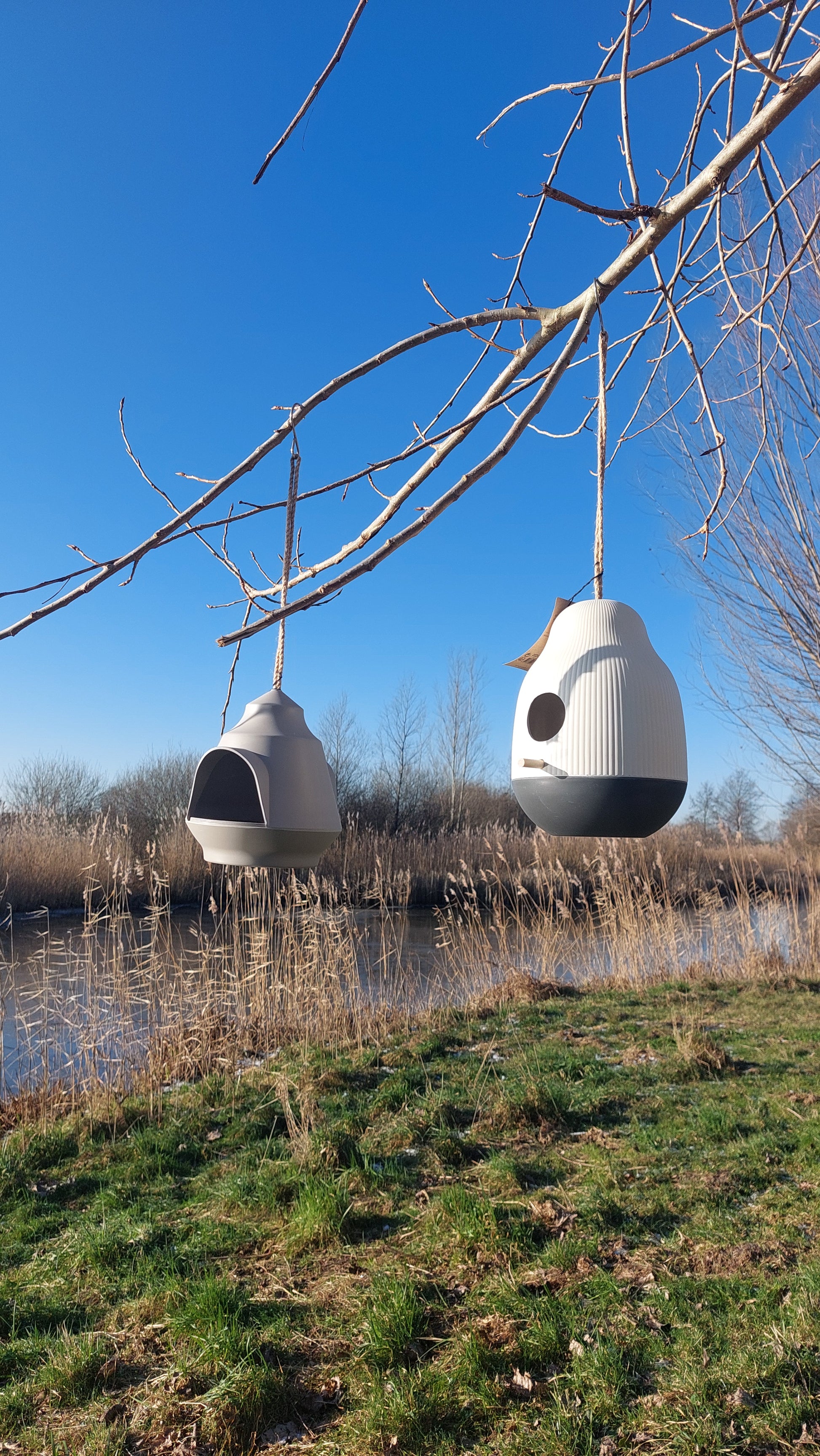 Sfeerbeeld van het GUSTA vogelvoederhuisje opgehangen in de tuin, met vogels die genieten van hun maaltijd.