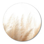 Muurcirkel Pampas | Gift - woongeluk4you